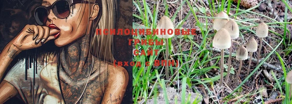 гидра Снежногорск