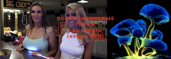 меф Снежинск