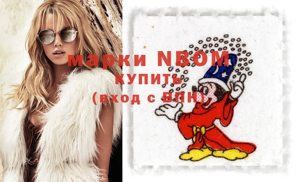 гидра Снежногорск