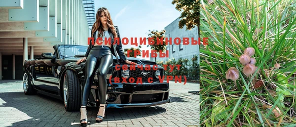 сатива Слюдянка